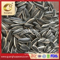 Perfect Quality Sunflower Seeds New Crop with Ce